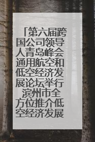 第六届跨国公司领导人青岛峰会通用航空和低空经济发展论坛举行 滨州市全方位推介低空经济发展优势