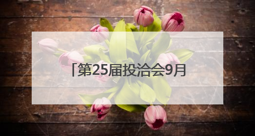 第25届投洽会9月举行，首设低空经济、人工智能等专区
