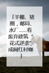 羊棚、猪圈，邮局、水厂……看废弃建筑“花式逆袭”成网红村咖