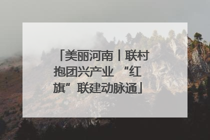 美丽河南丨联村抱团兴产业 “红旗”联建动脉通