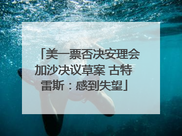 美一票否决安理会加沙决议草案 古特雷斯：感到失望