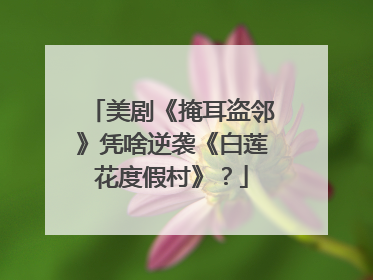 美剧《掩耳盗邻》凭啥逆袭《白莲花度假村》？