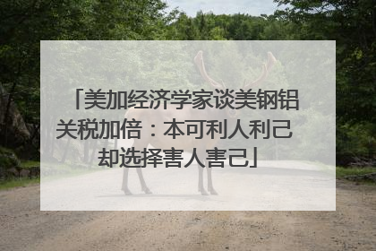 美加经济学家谈美钢铝关税加倍：本可利人利己 却选择害人害己