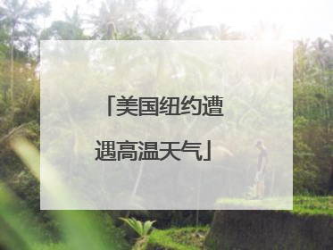 美国纽约遭遇高温天气