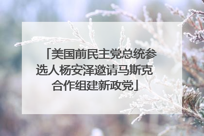 美国前民主党总统参选人杨安泽邀请马斯克合作组建新政党