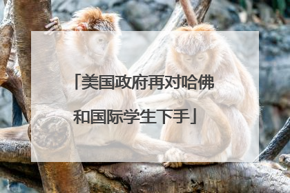 美国政府再对哈佛和国际学生下手