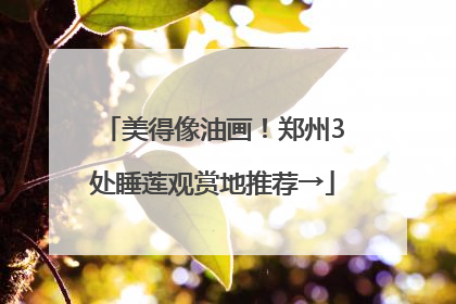 美得像油画！郑州3处睡莲观赏地推荐→