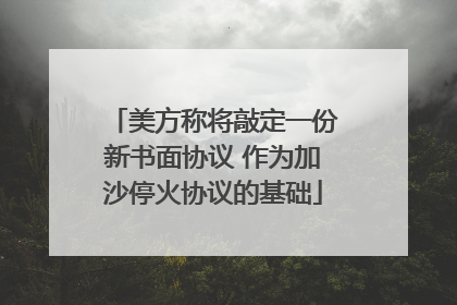 美方称将敲定一份新书面协议 作为加沙停火协议的基础