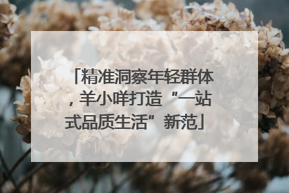 精准洞察年轻群体，羊小咩打造“一站式品质生活”新范