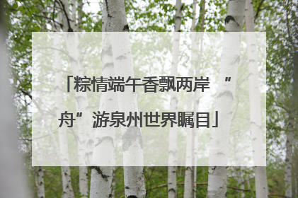 粽情端午香飘两岸 “舟”游泉州世界瞩目