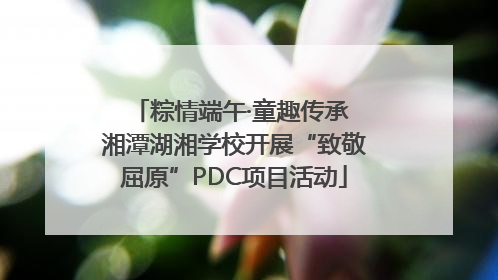 粽情端午·童趣传承 湘潭湖湘学校开展“致敬屈原”PDC项目活动
