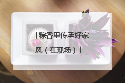 粽香里传承好家风（在现场）