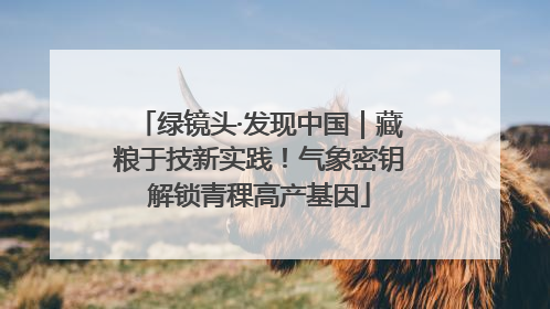 绿镜头·发现中国｜藏粮于技新实践！气象密钥解锁青稞高产基因