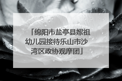 绵阳市盐亭县嫘祖幼儿园接待乐山市沙湾区政协观摩团