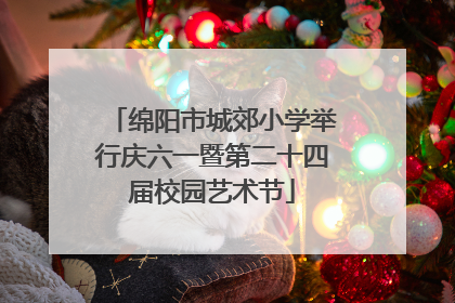 绵阳市城郊小学举行庆六一暨第二十四届校园艺术节