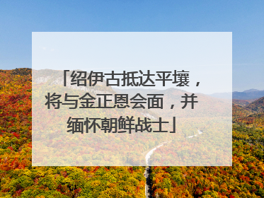 绍伊古抵达平壤，将与金正恩会面，并缅怀朝鲜战士