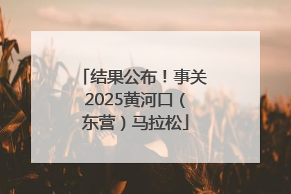 结果公布！事关2025黄河口（东营）马拉松
