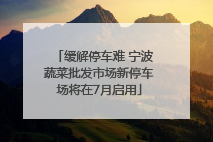 缓解停车难 宁波蔬菜批发市场新停车场将在7月启用