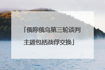 俄称俄乌第三轮谈判主题包括战俘交换