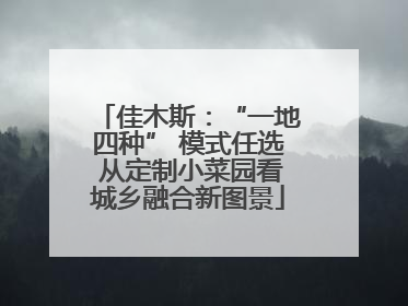 佳木斯：“一地四种” 模式任选 从定制小菜园看城乡融合新图景