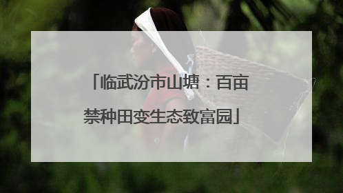 临武汾市山塘：百亩禁种田变生态致富园