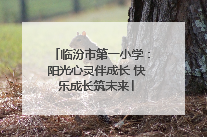 临汾市第一小学：阳光心灵伴成长 快乐成长筑未来