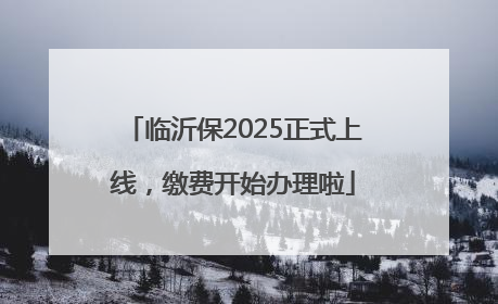 临沂保2025正式上线，缴费开始办理啦