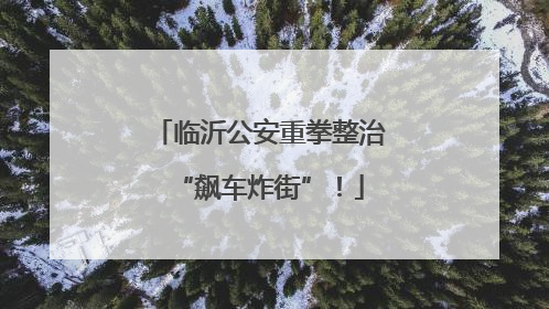 临沂公安重拳整治“飙车炸街”！