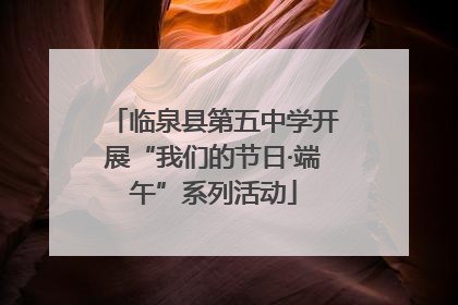 临泉县第五中学开展“我们的节日·端午”系列活动