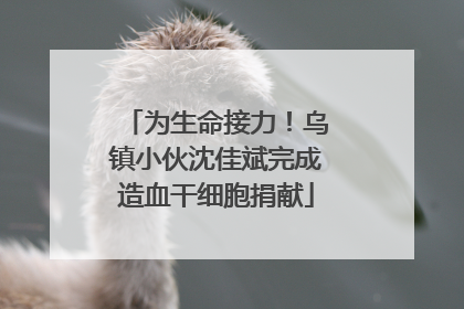 为生命接力！乌镇小伙沈佳斌完成造血干细胞捐献