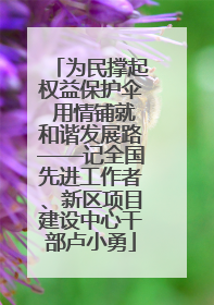 为民撑起权益保护伞 用情铺就和谐发展路——记全国先进工作者、新区项目建设中心干部卢小勇