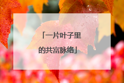 一片叶子里的共富脉络