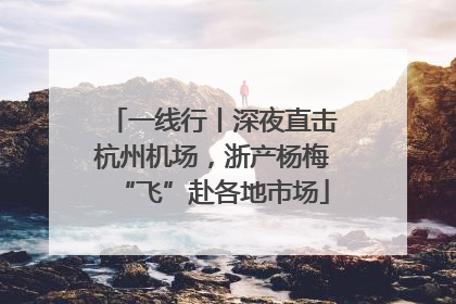 一线行丨深夜直击杭州机场，浙产杨梅“飞”赴各地市场