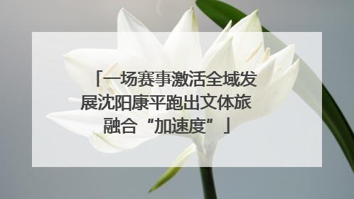 一场赛事激活全域发展沈阳康平跑出文体旅融合“加速度”