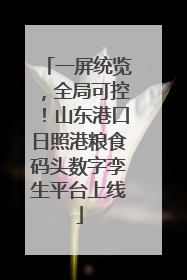 一屏统览，全局可控！山东港口日照港粮食码头数字孪生平台上线
