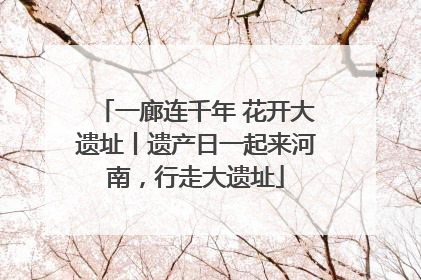 一廊连千年 花开大遗址丨遗产日一起来河南，行走大遗址