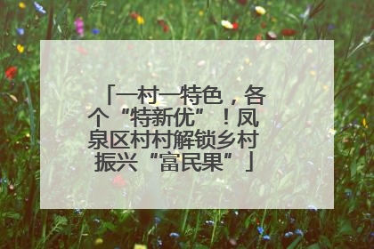 一村一特色，各个“特新优”！凤泉区村村解锁乡村振兴“富民果”