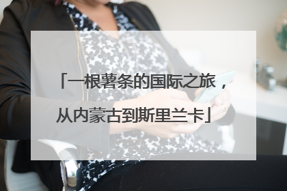 一根薯条的国际之旅，从内蒙古到斯里兰卡