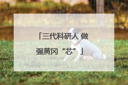 三代科研人 做强黄冈“芯”