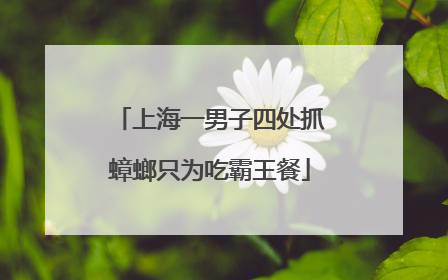 上海一男子四处抓蟑螂只为吃霸王餐