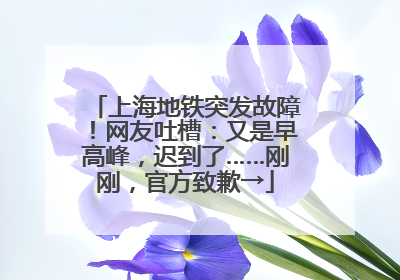 上海地铁突发故障！网友吐槽：又是早高峰，迟到了……刚刚，官方致歉→