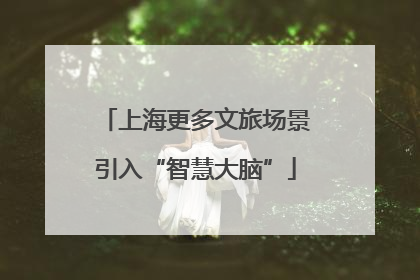 上海更多文旅场景引入“智慧大脑”