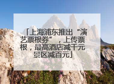 上海浦东推出“演艺票根券”，上传票根，最高酒店减千元景区减百元