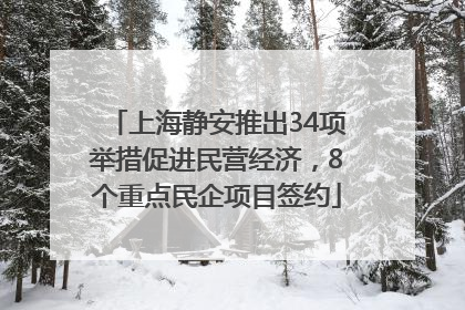 上海静安推出34项举措促进民营经济，8个重点民企项目签约