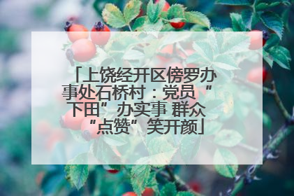 上饶经开区傍罗办事处石桥村：党员“下田”办实事 群众“点赞”笑开颜