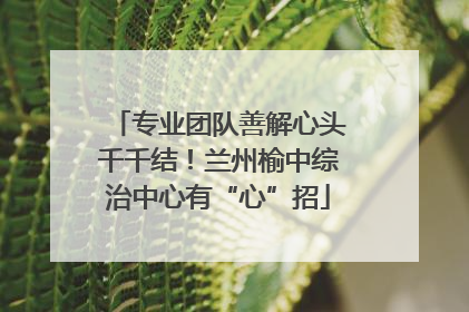 专业团队善解心头千千结！兰州榆中综治中心有“心”招