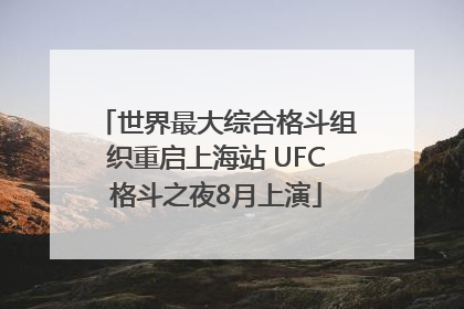 世界最大综合格斗组织重启上海站 UFC格斗之夜8月上演