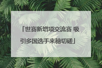世赛新增项交流赛 吸引多国选手来穗切磋
