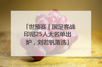 世预赛｜国足客战印尼25人大名单出炉，刘若钒落选
