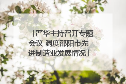 严华主持召开专题会议 调度邵阳市先进制造业发展情况